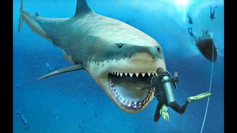 Чем питается акула мегалодон