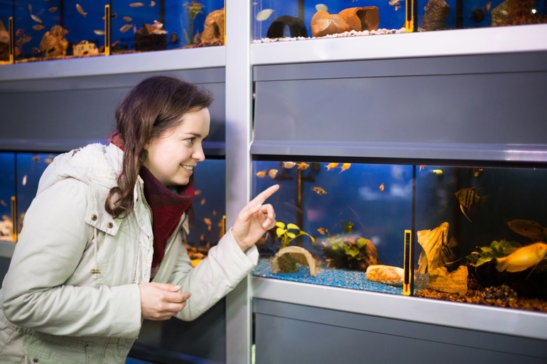 Правила выбора рыбки для аквариума